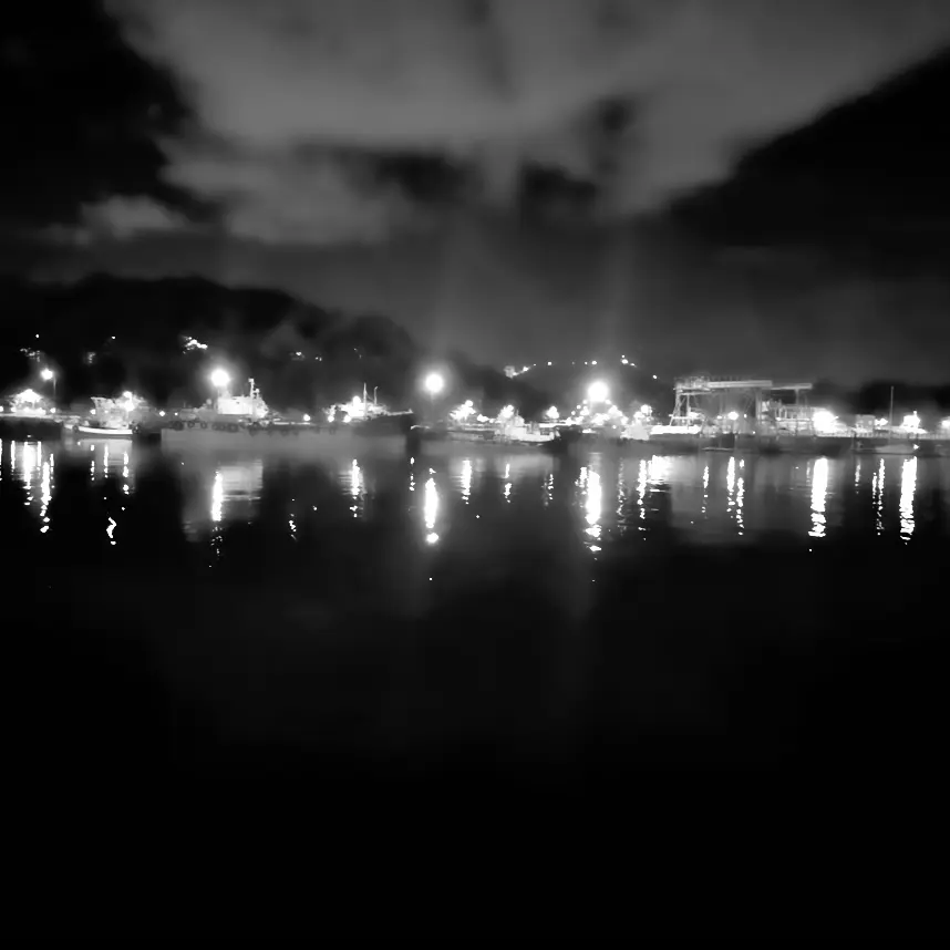 NICKNAME7552의 眞狼