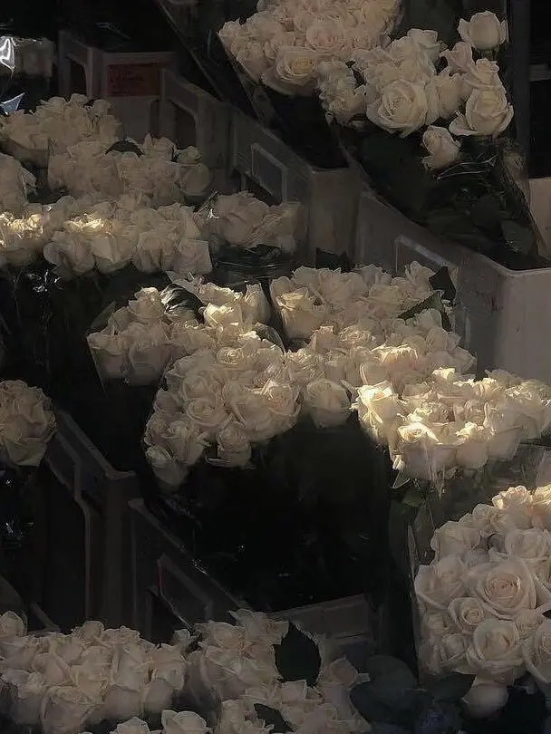 RancidTosa7121의 걔?아 걔 이미 내껀데?