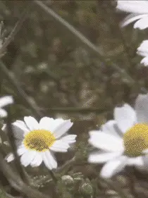 LuL.blanket2의 제목 없음