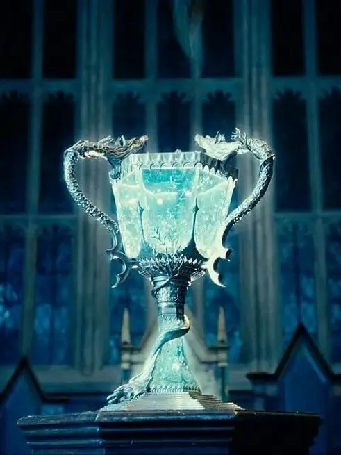 FishyGoose5563의 Harry Potter and Golbet of Fire