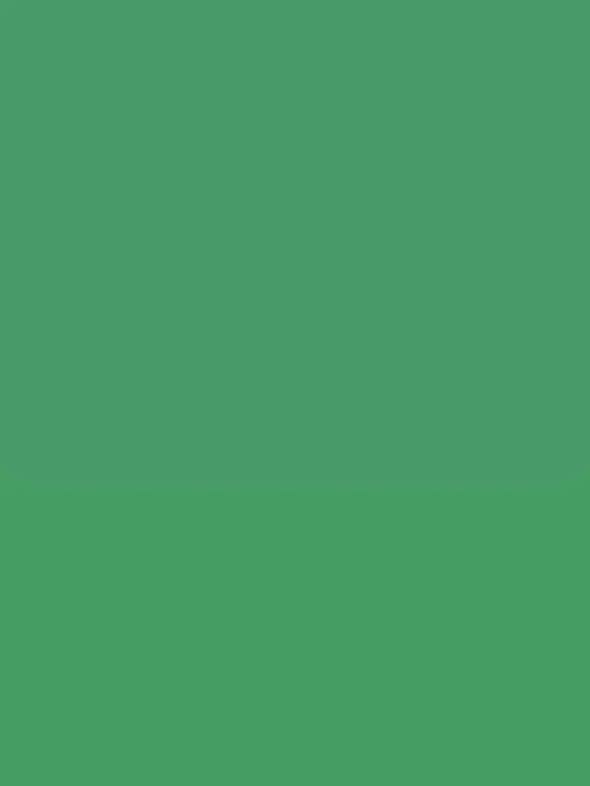 r1_n.0의 Mrs. GREEN APPLE