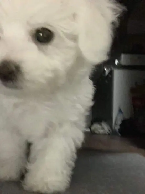 .....ux의 同じクラス