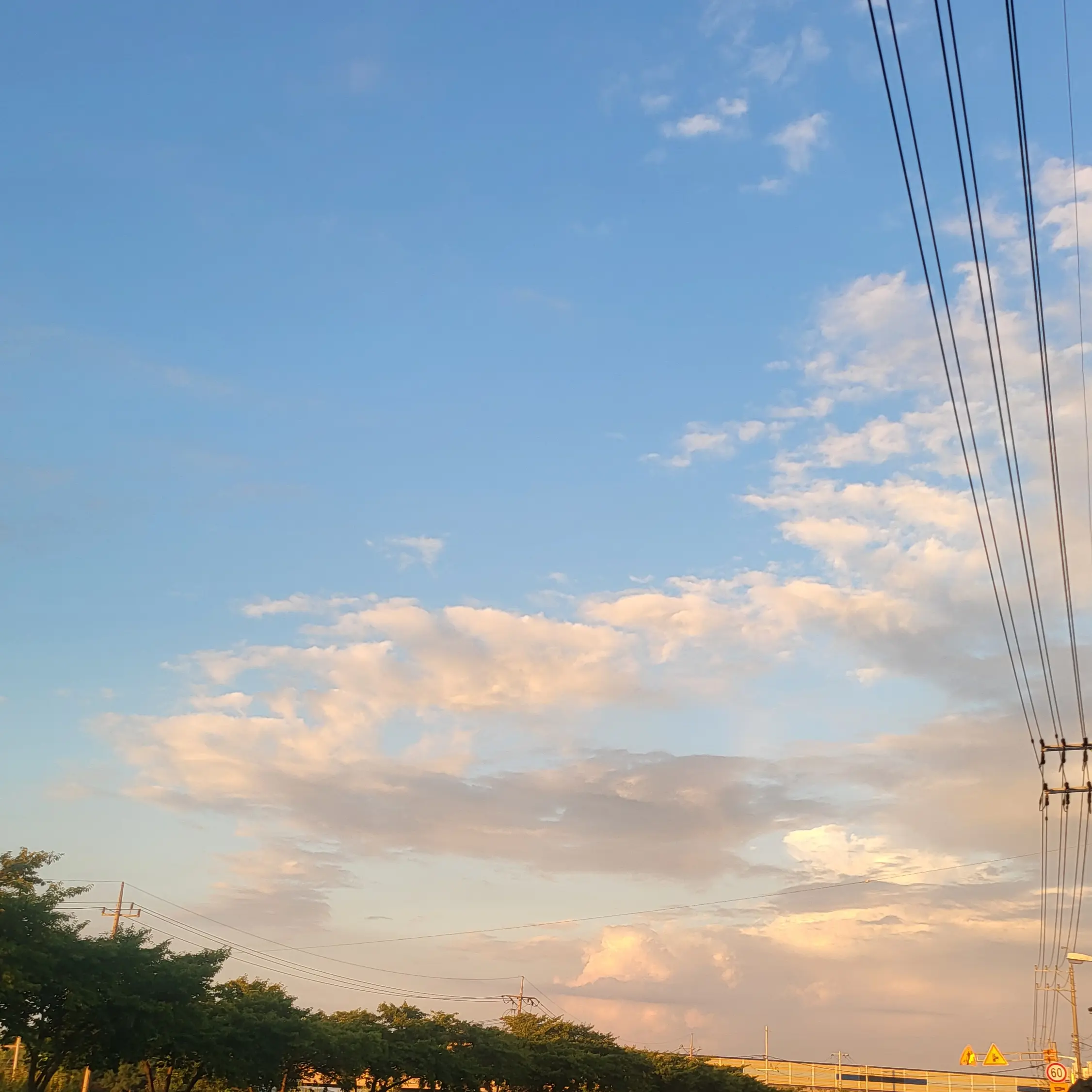 jj5623k의 Soft Pico