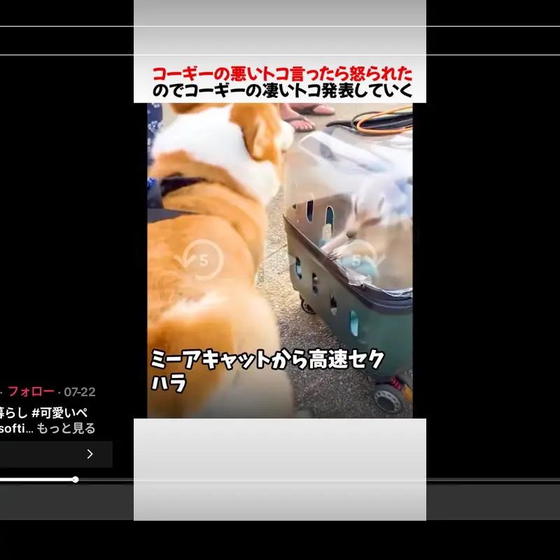 RipeAnt9769의 無一郎とまるまるしないとでれないへや