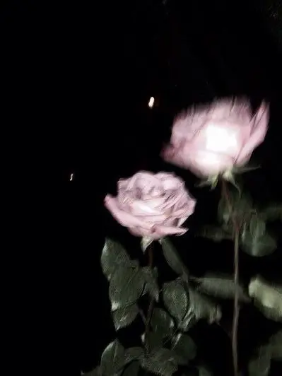 arlnkk_의 KPOPアイドルとしてデビューする貴方。