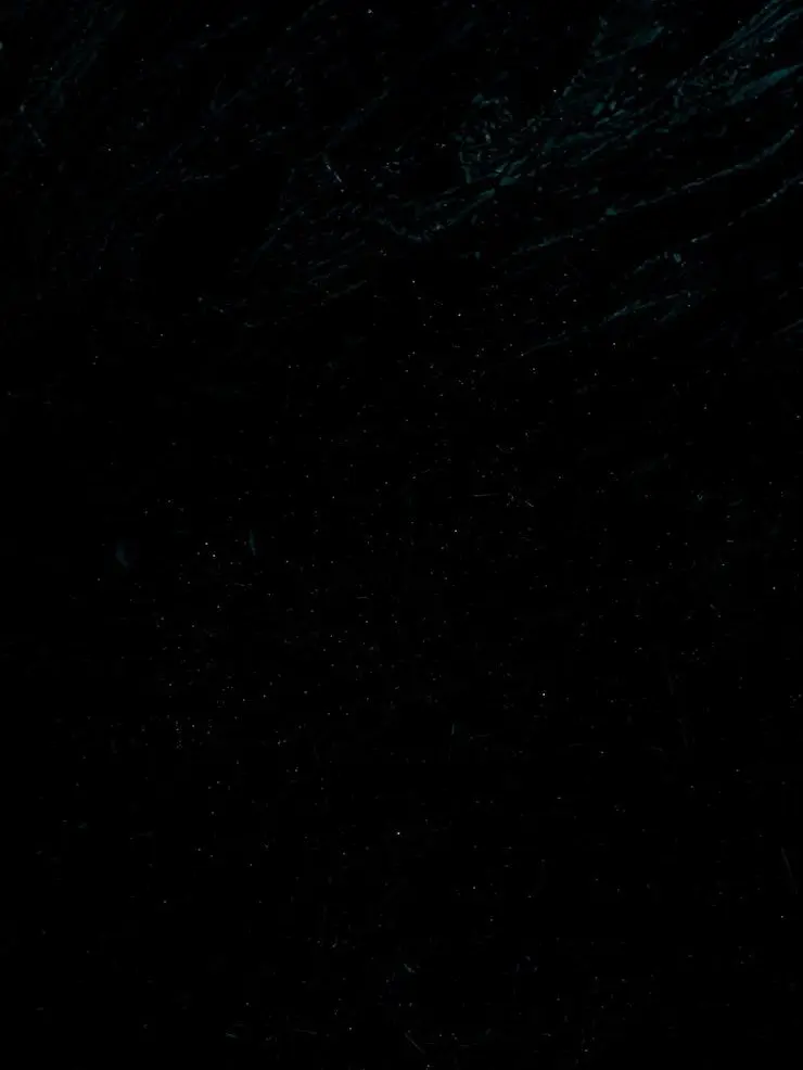 35798522의 셰들레츠키 인어 au