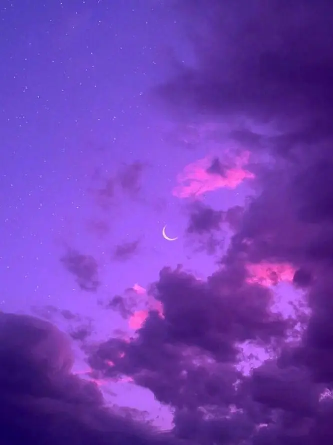 lneedlneedlneed의 미수반[의심]