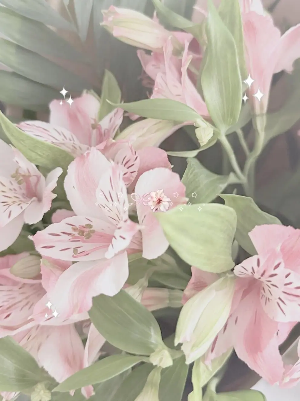 THISHEROKINDAIFFY의 ·₊˚❀·₊˚