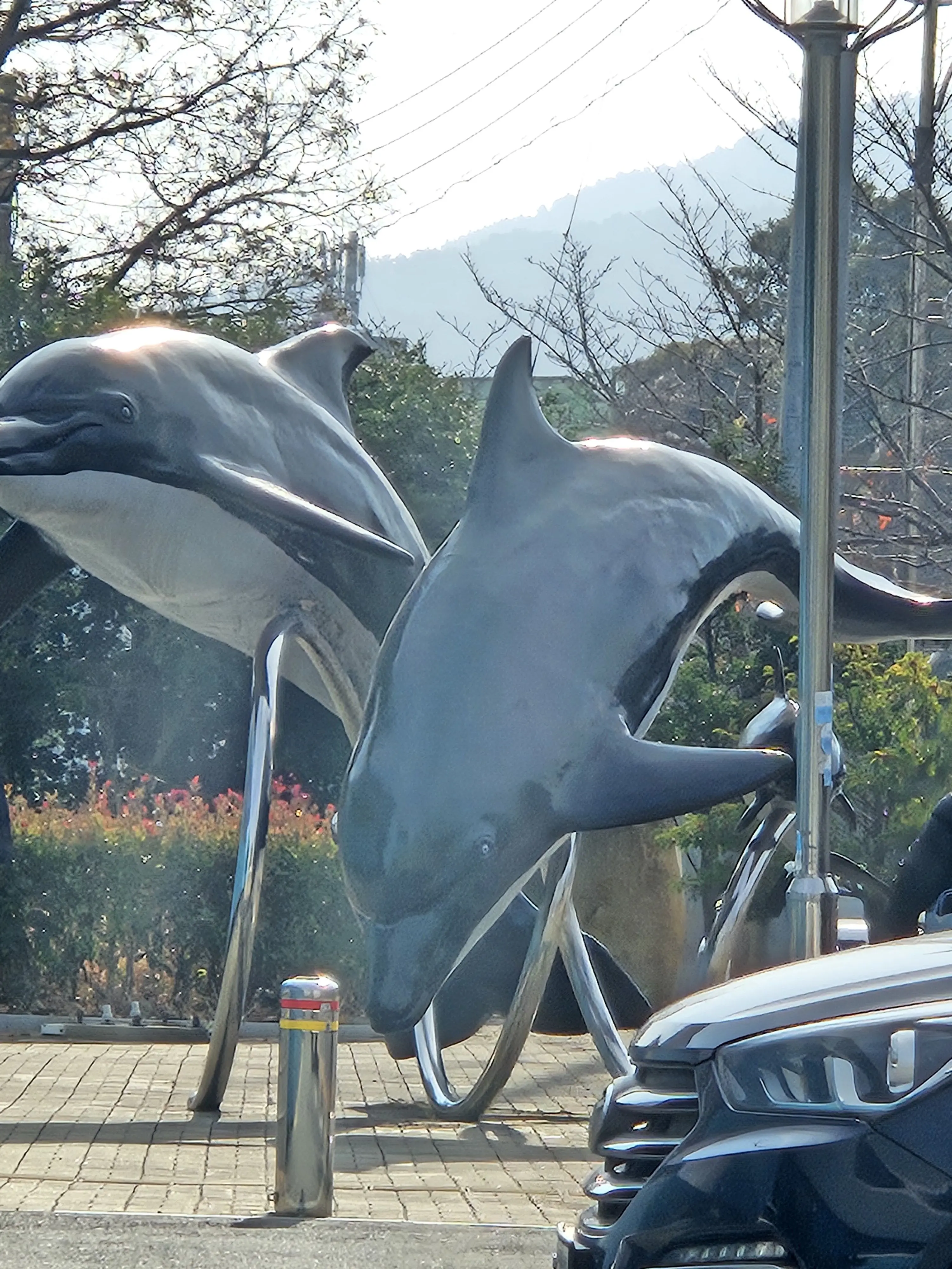 StrictWharf7672의 시랑한다고요