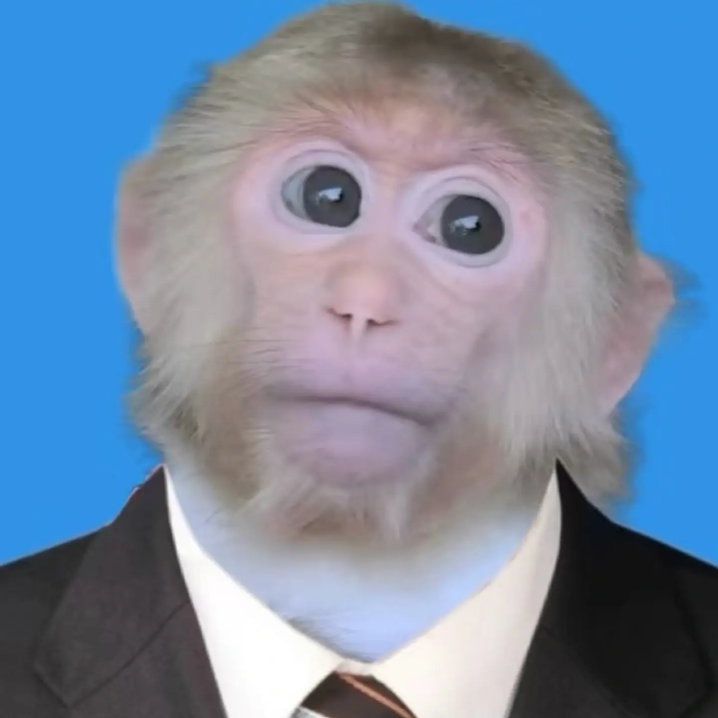 Zetasamapleasegivemeachance의 김철수