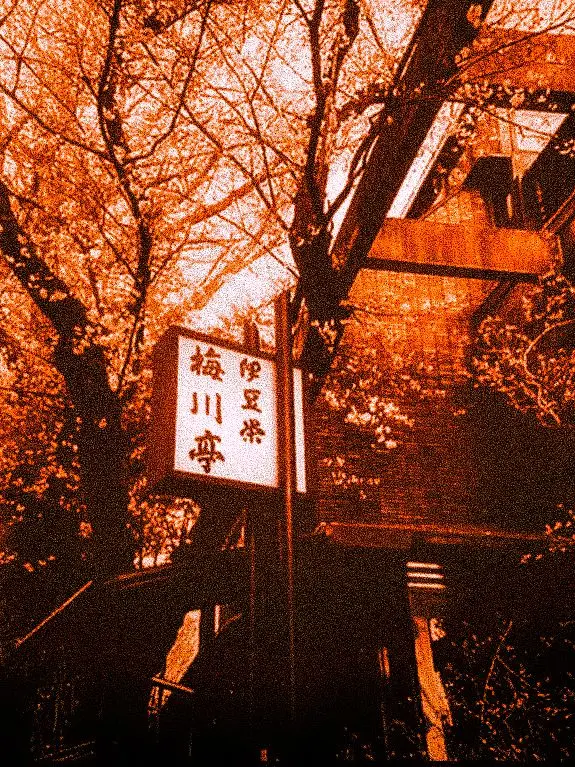 Kxnch0_의 죽기싫다고 5억 번 말했다 진짜
