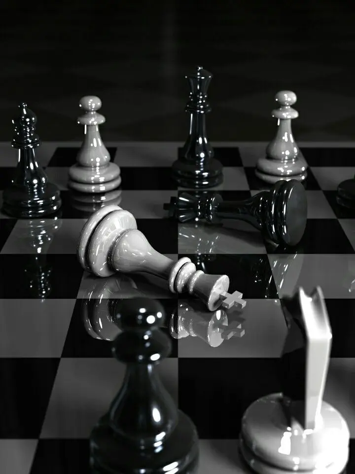 Hayuxn의 뒷세계 최강, 패러다이스