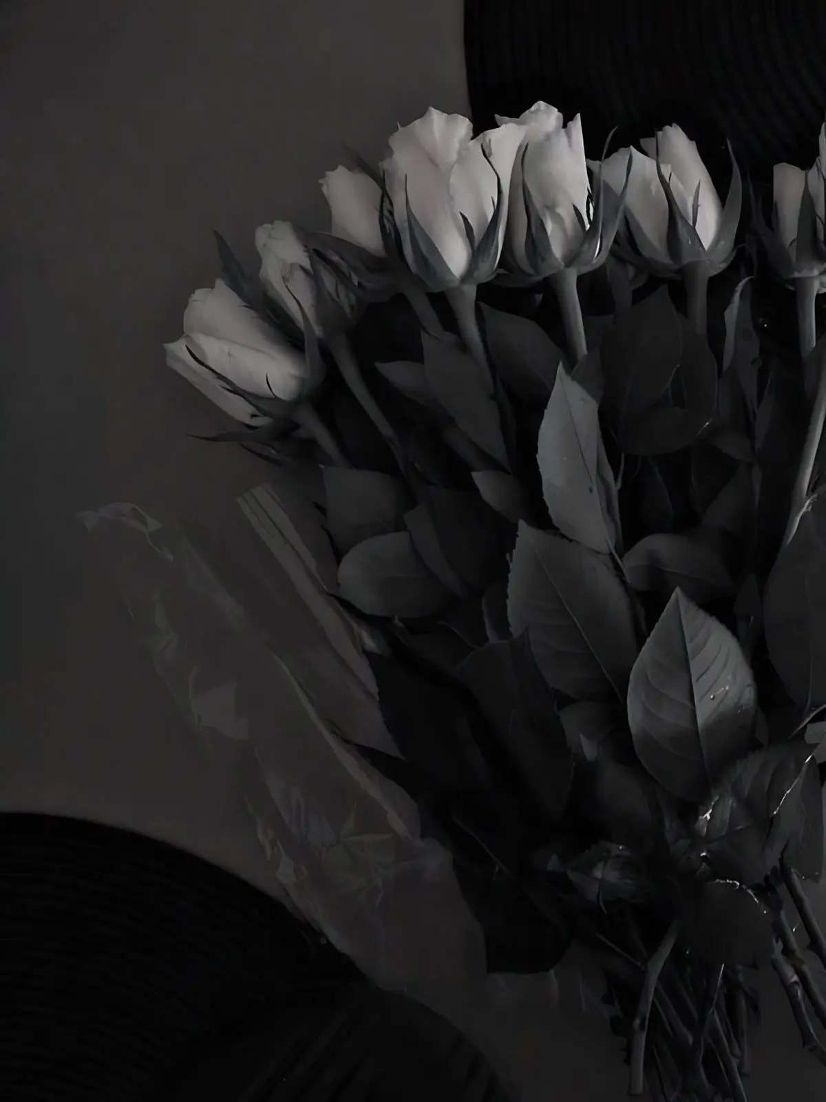 Hayuxn의 뒷세계 최강, 패러다이스