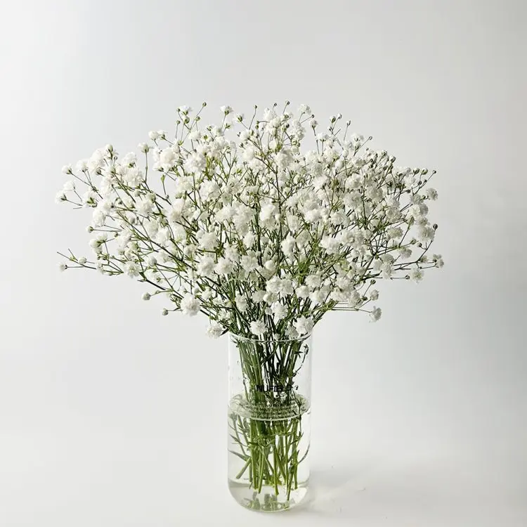 WildChair7733의 이게 사랑인가봐