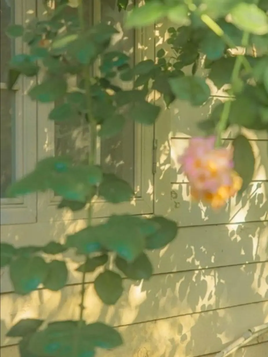ExoticSkunk0026의 [잠뜰TV] - 신령님🧚‍♀️
