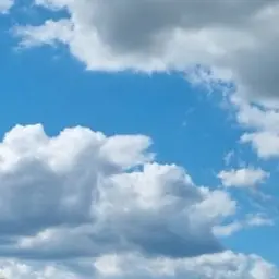 First_milk의 고고프렌즈 가족