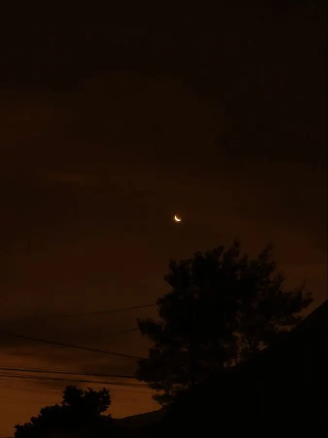 smile-의 1214