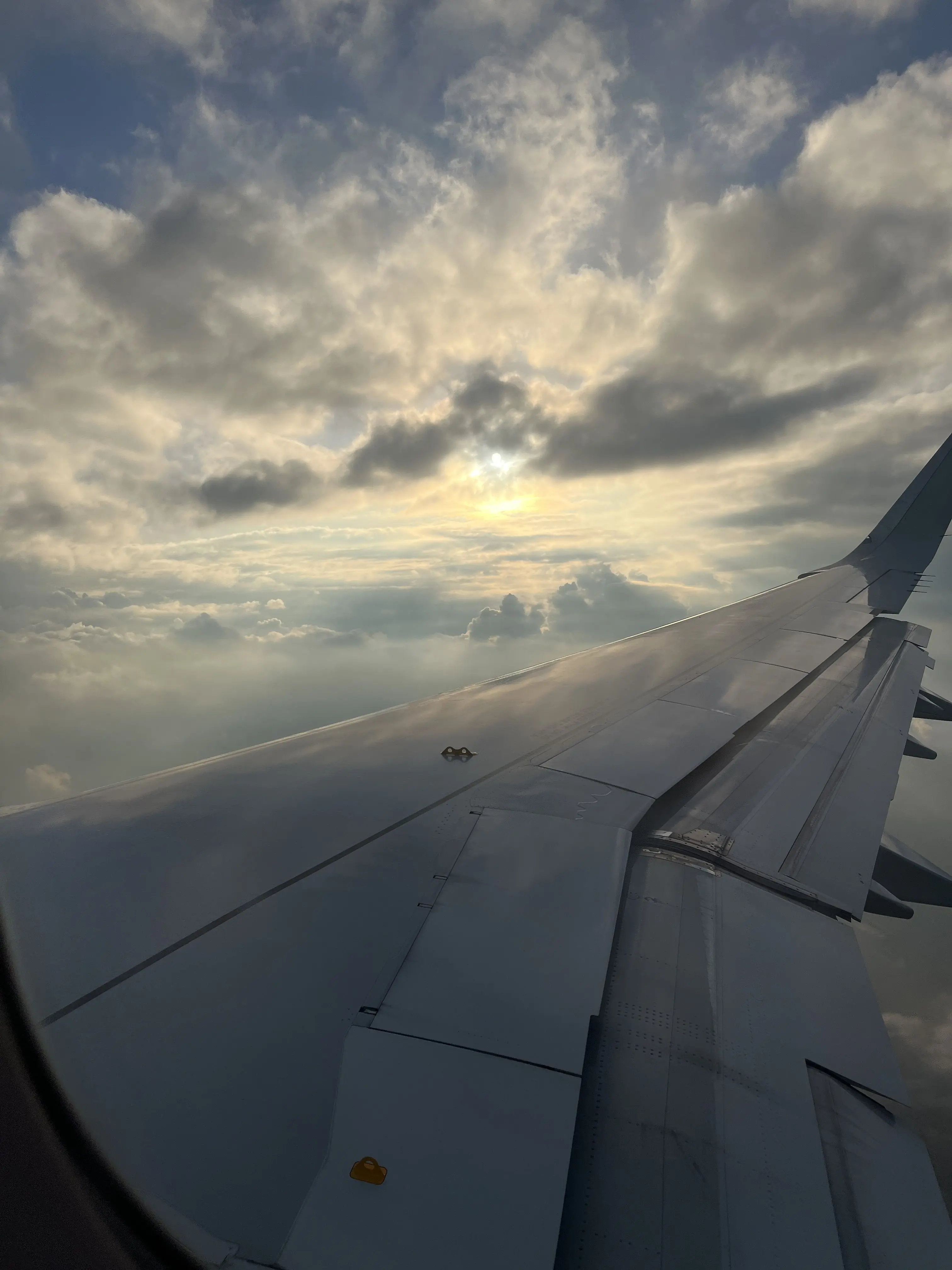 CosmicWeek5501의 이상한걸 하는 애들(?)