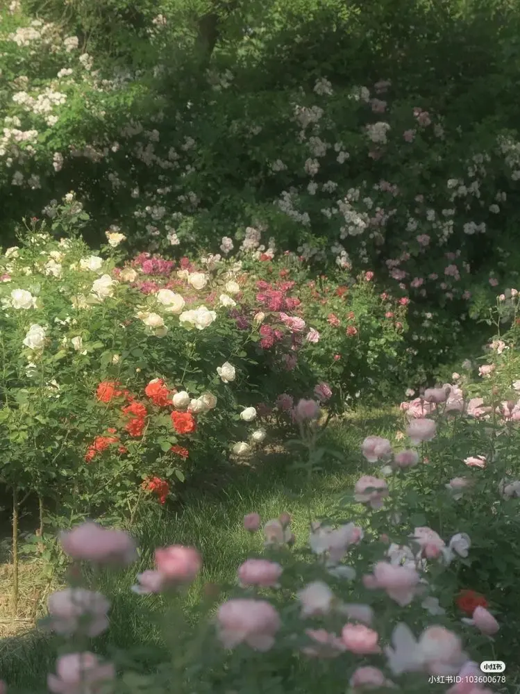 WetBlade6641의 年下じゃダメですか