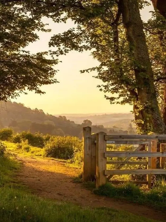 Gu_one의 이세계 농장 라이프