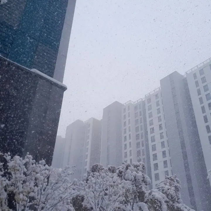 Dream_Garden의 박스에갇혔다