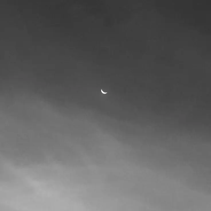 dawn_gravity의 경매장 (포세이큰)