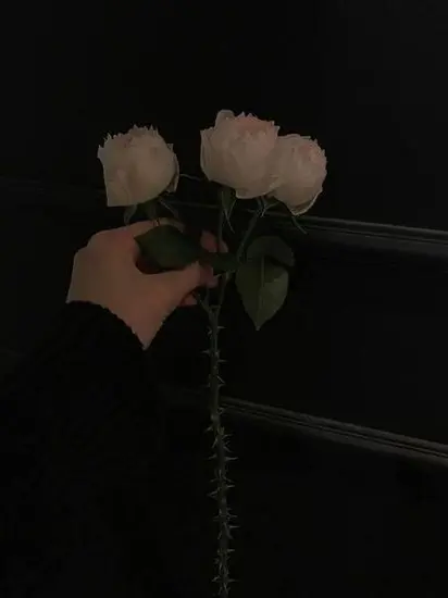 y22cbw의 彼が拾った天使