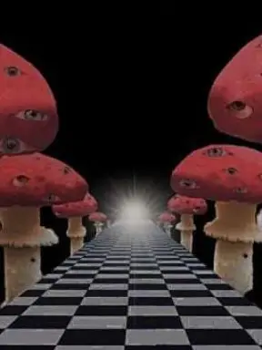 95yearold-KimChunbae의 (AU) 우리의 꿈 속에서