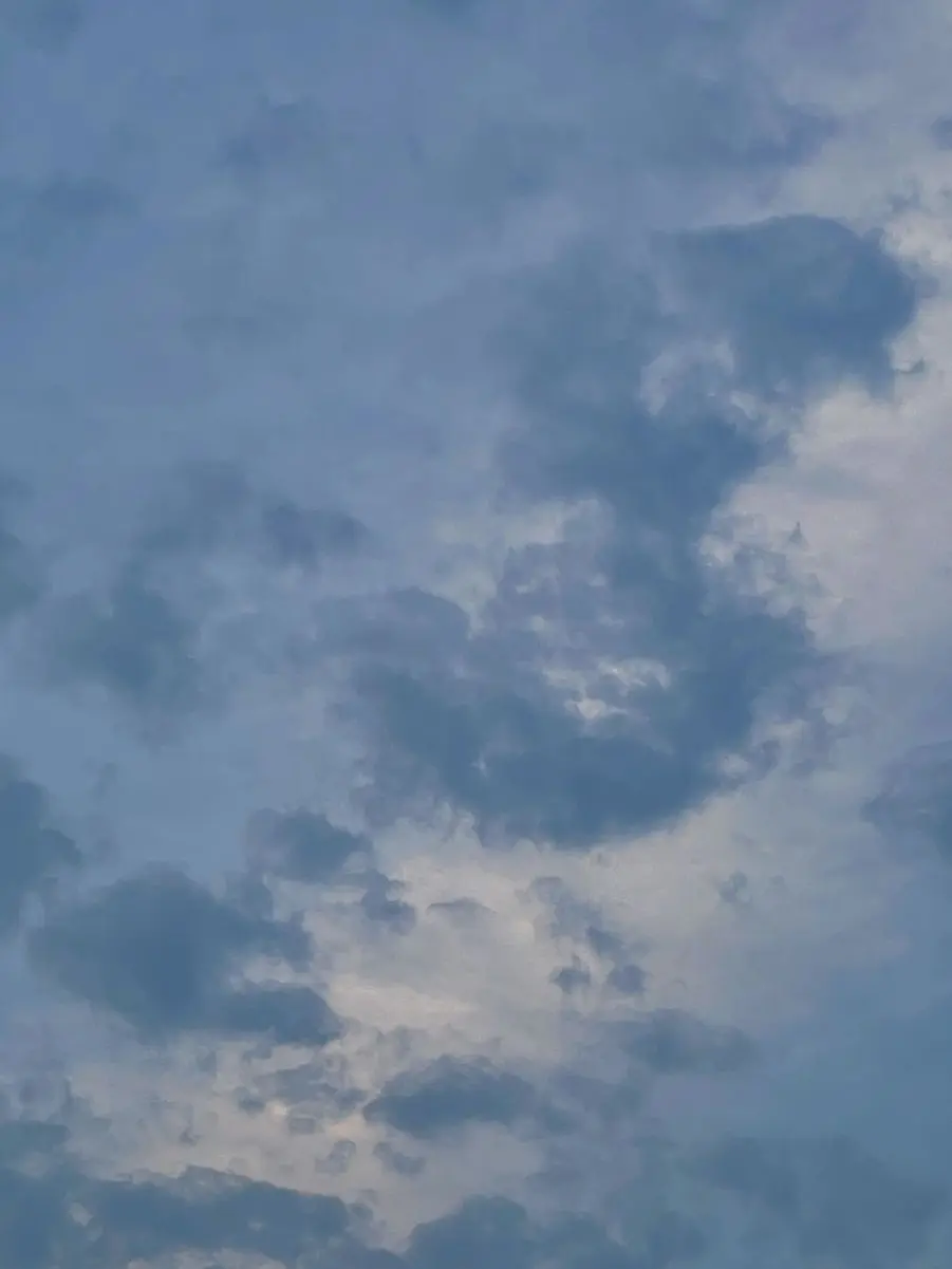 PointyRadio9285의 김지연