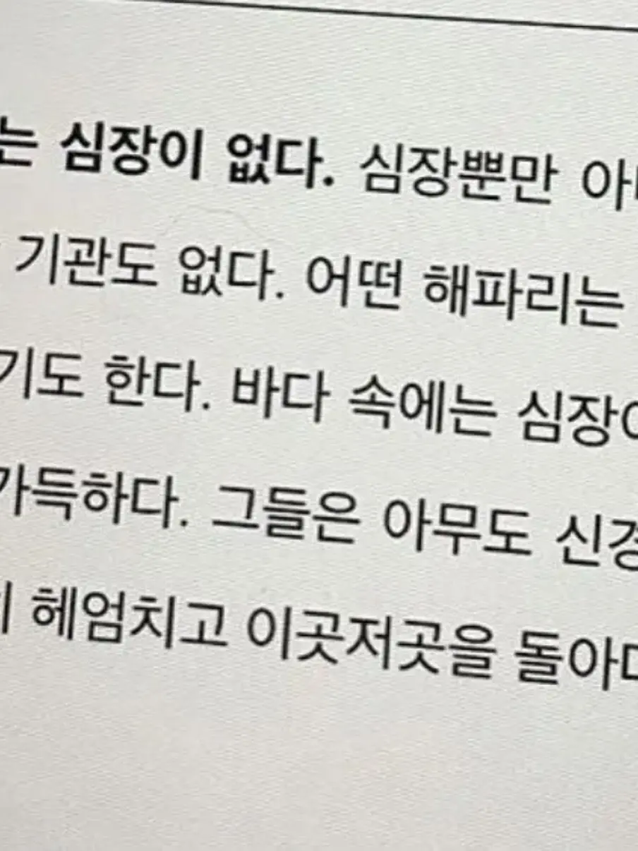 konexuk1016의 해파리는 심장이 없다