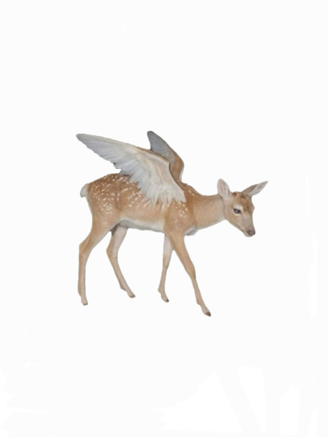 ㄴㄹ ㅅㅋㅁㄹ 대표 이미지