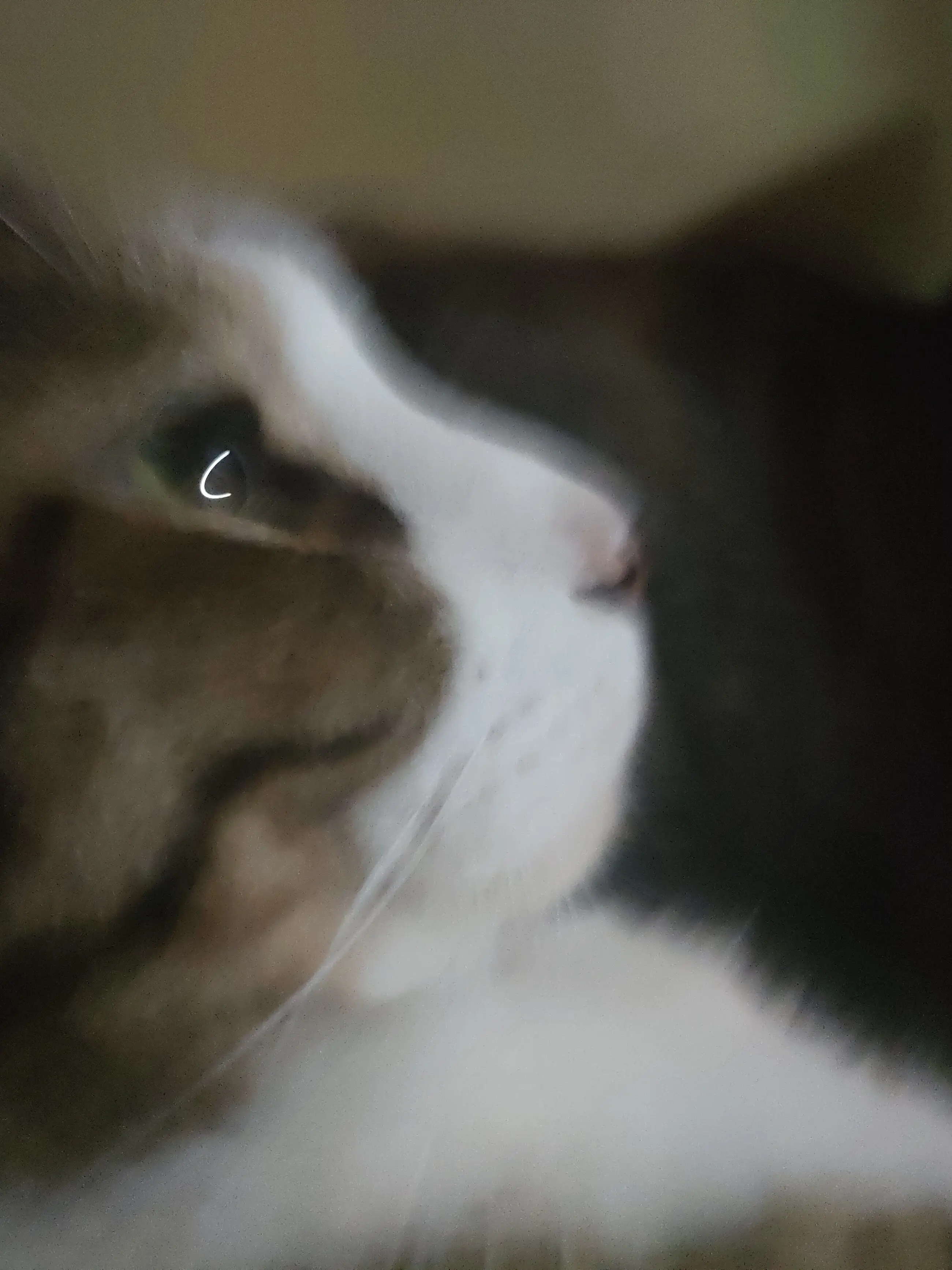 MOEKYUNN의 ただの青春