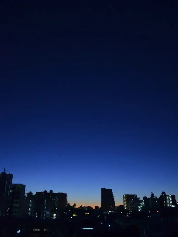 Sanano4208의 捨てられた子供たちと、1人の女性