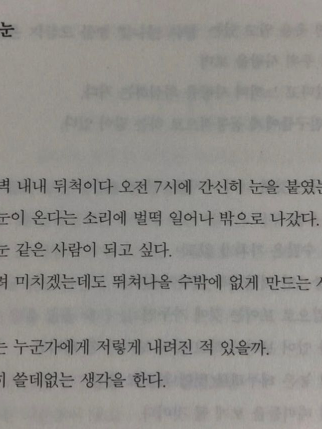 돈 많은 누님의 첫사랑 대표 이미지