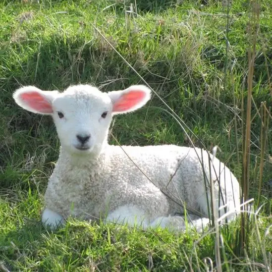 SmoothDill4402의 취한 무드등의 수학여행