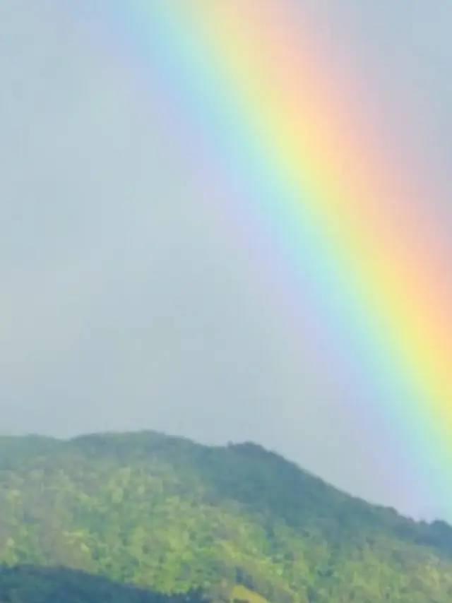 VagueTapir5671의 推しが好きすぎて困ってます