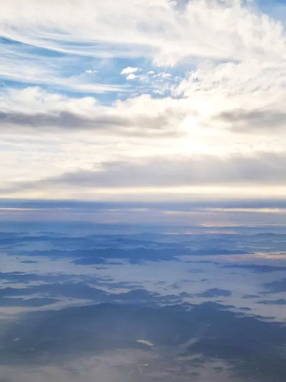 Goudacheese1225의 벗