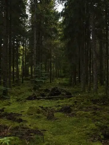 ziti의 hunters 놈들 과 동거거