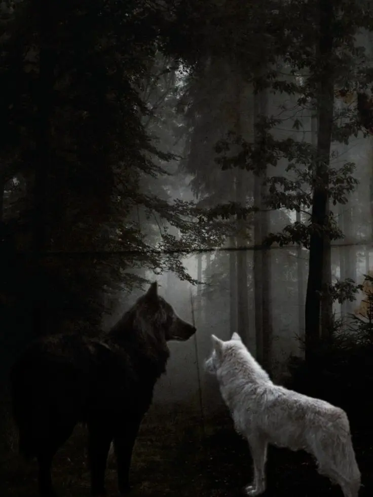 CozyCarp2298의 Werewolf Mates