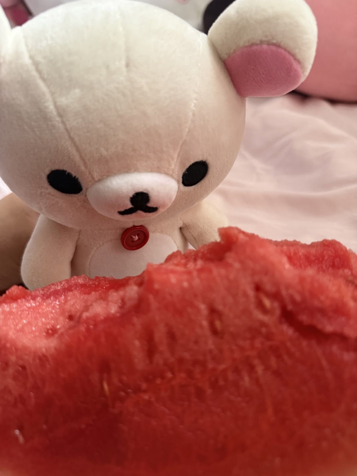 서한솔 대표 이미지