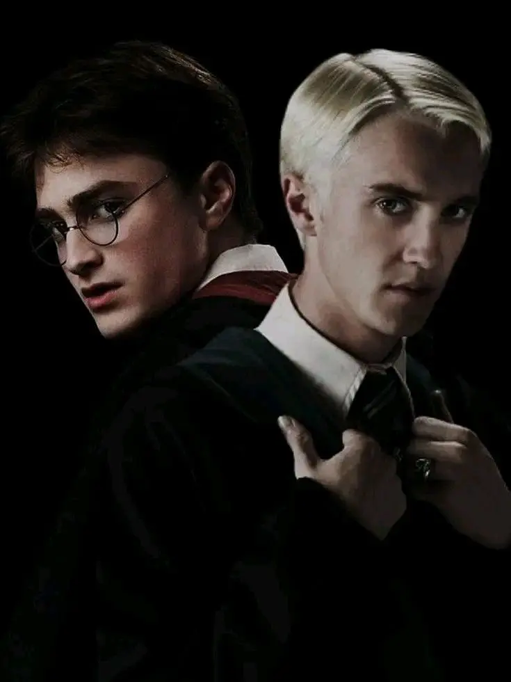 SafeFile8463의 Harry or Draco?