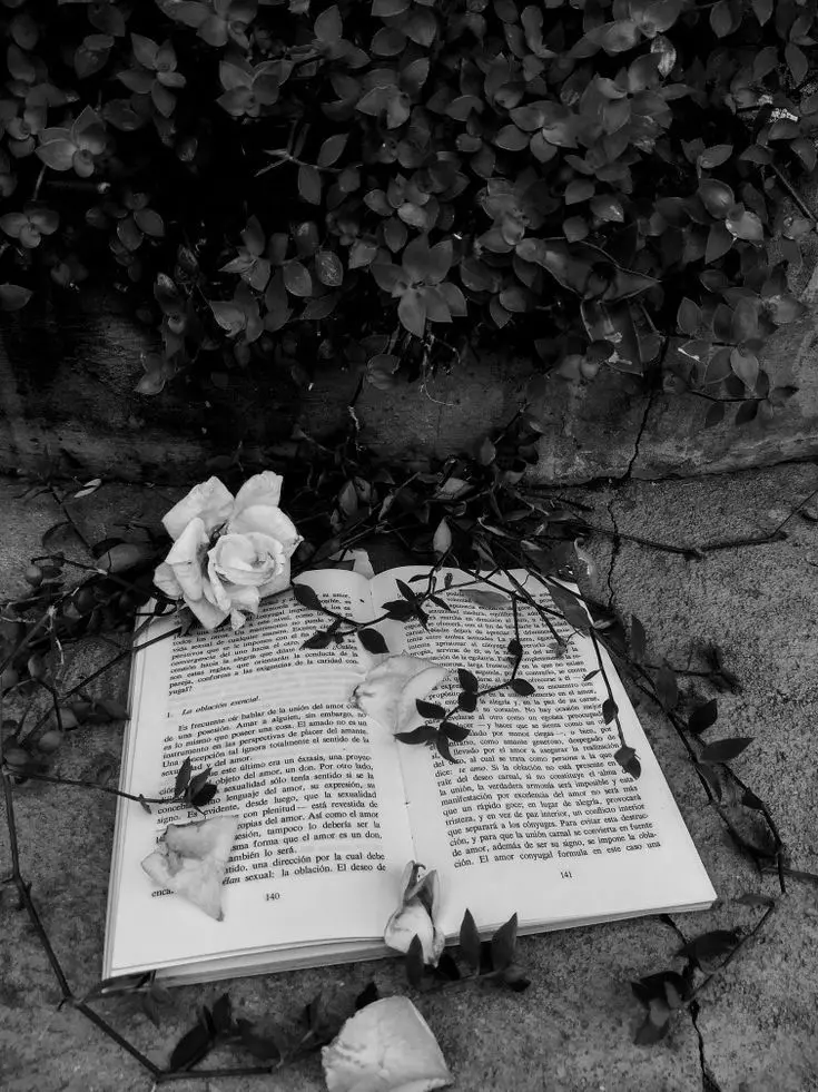 owoLove의 포세이큰 난장판 중학교 생활