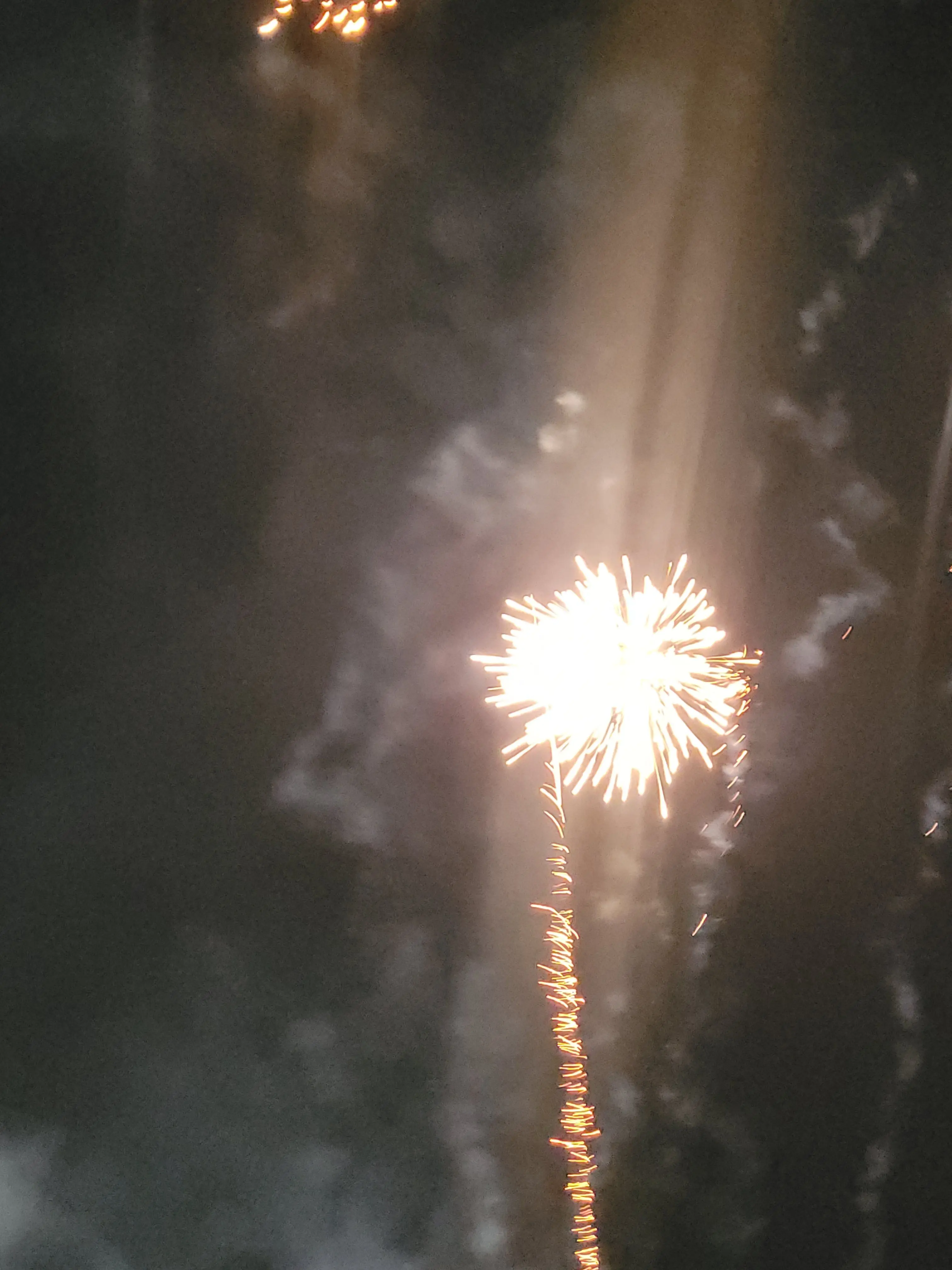 LeafyMilk1145의 패러다이스 수사반!