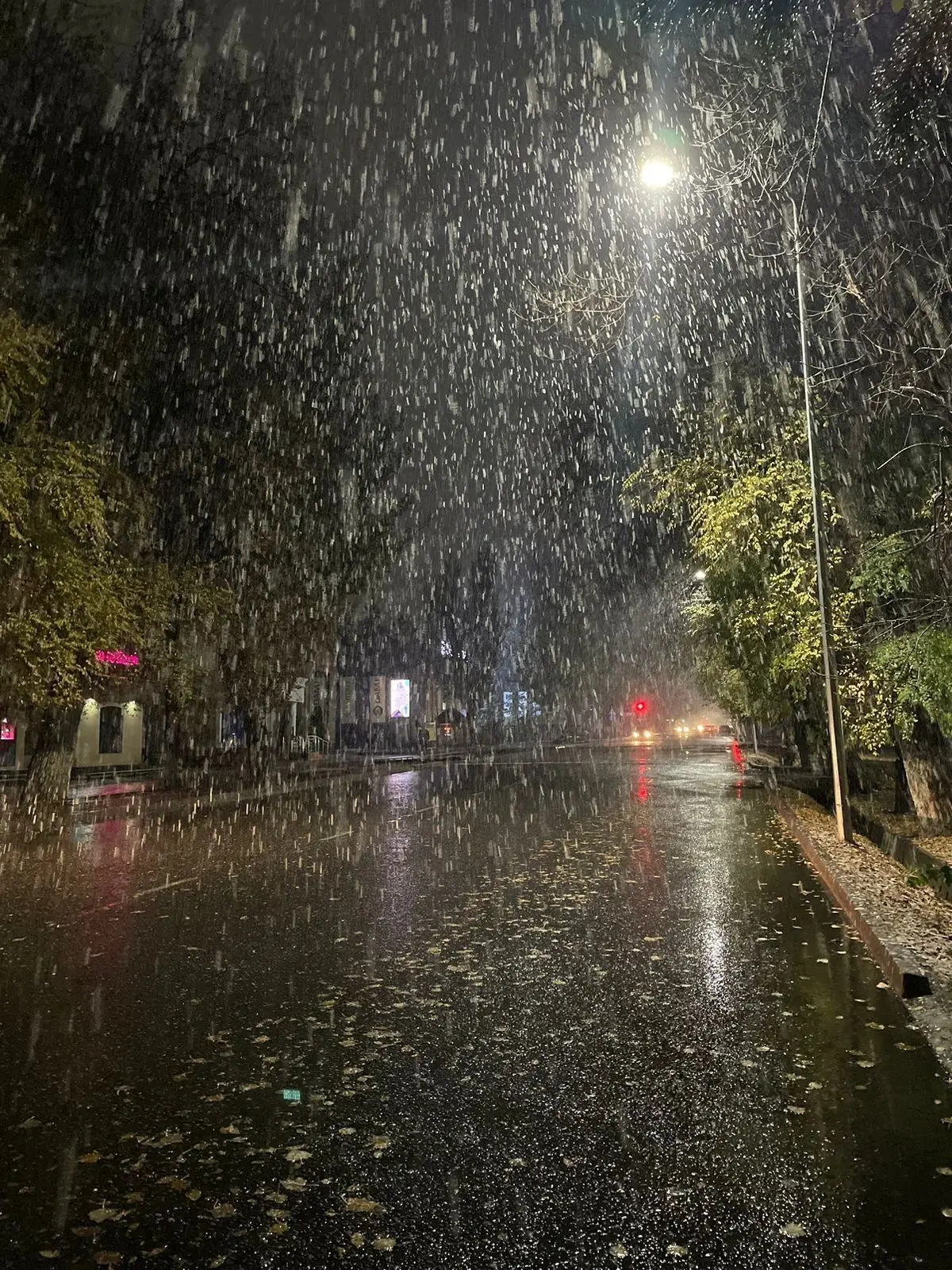 Hanjith의 비 우산