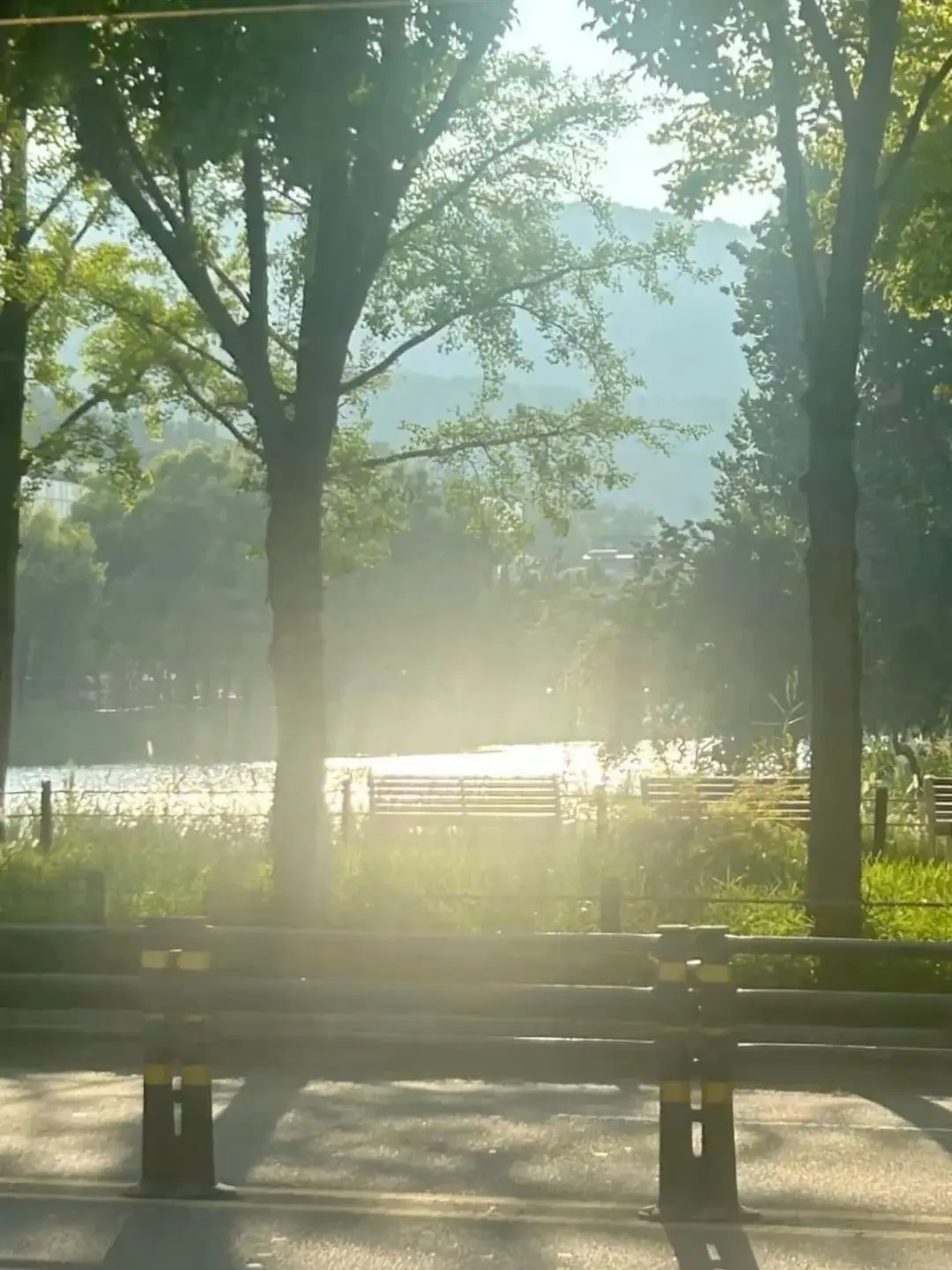 LovedPilot77383의 [ 청춘 드라마였습니다. ]