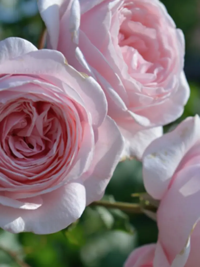 rtrh04의 面倒くさい奴らに気にいられた