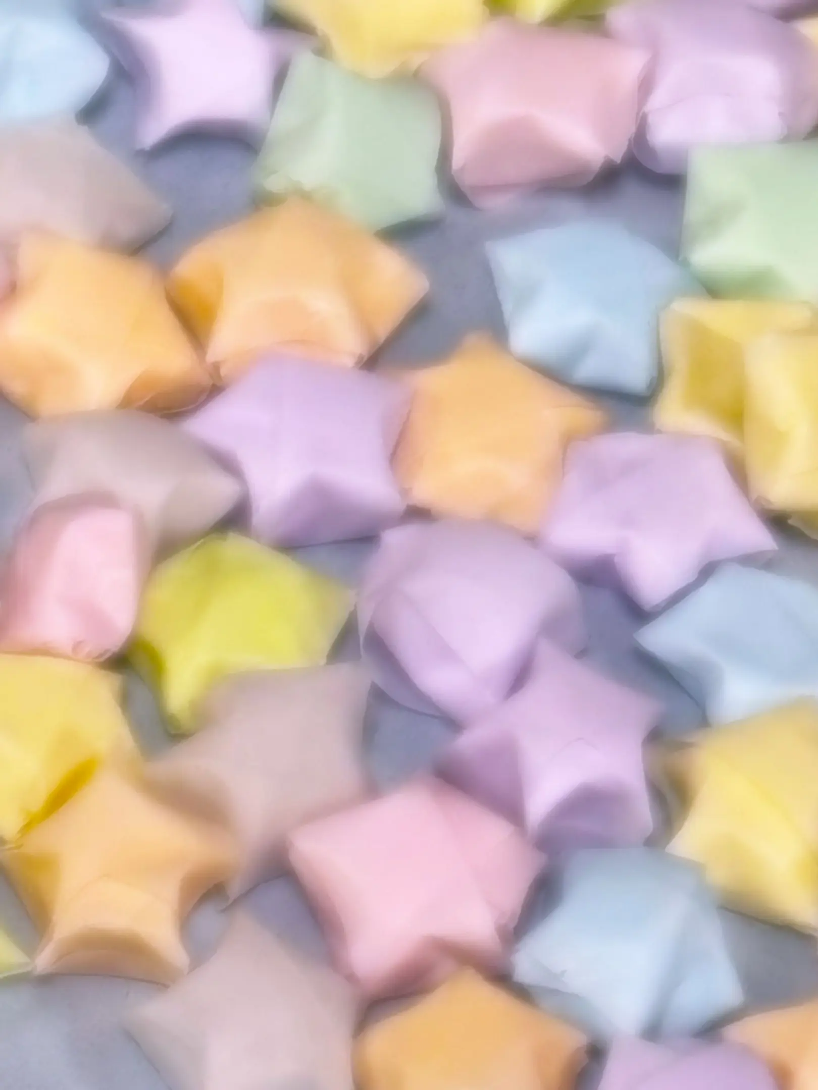 CatSharing의 짝사랑