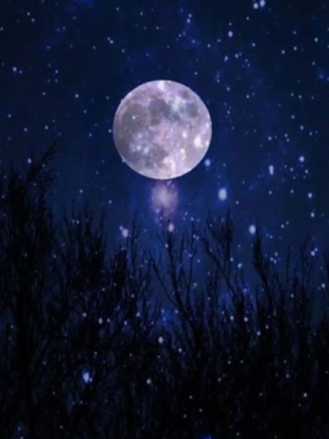 HotSloth3247의 현광펜