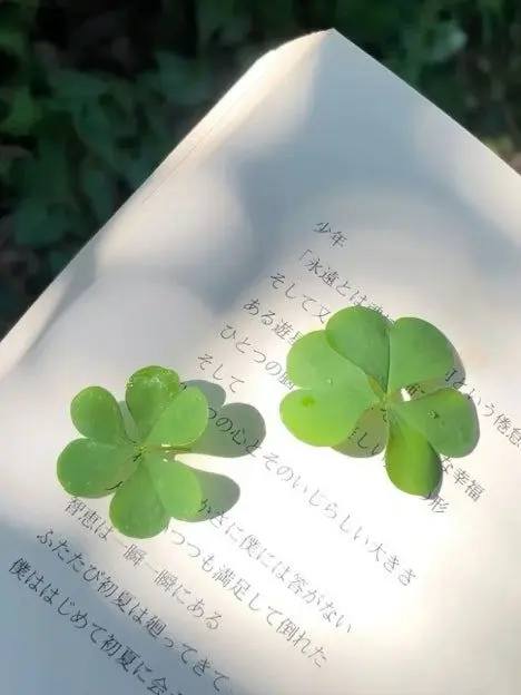 cloverfrog431413의 내가 더 낫지 않아?