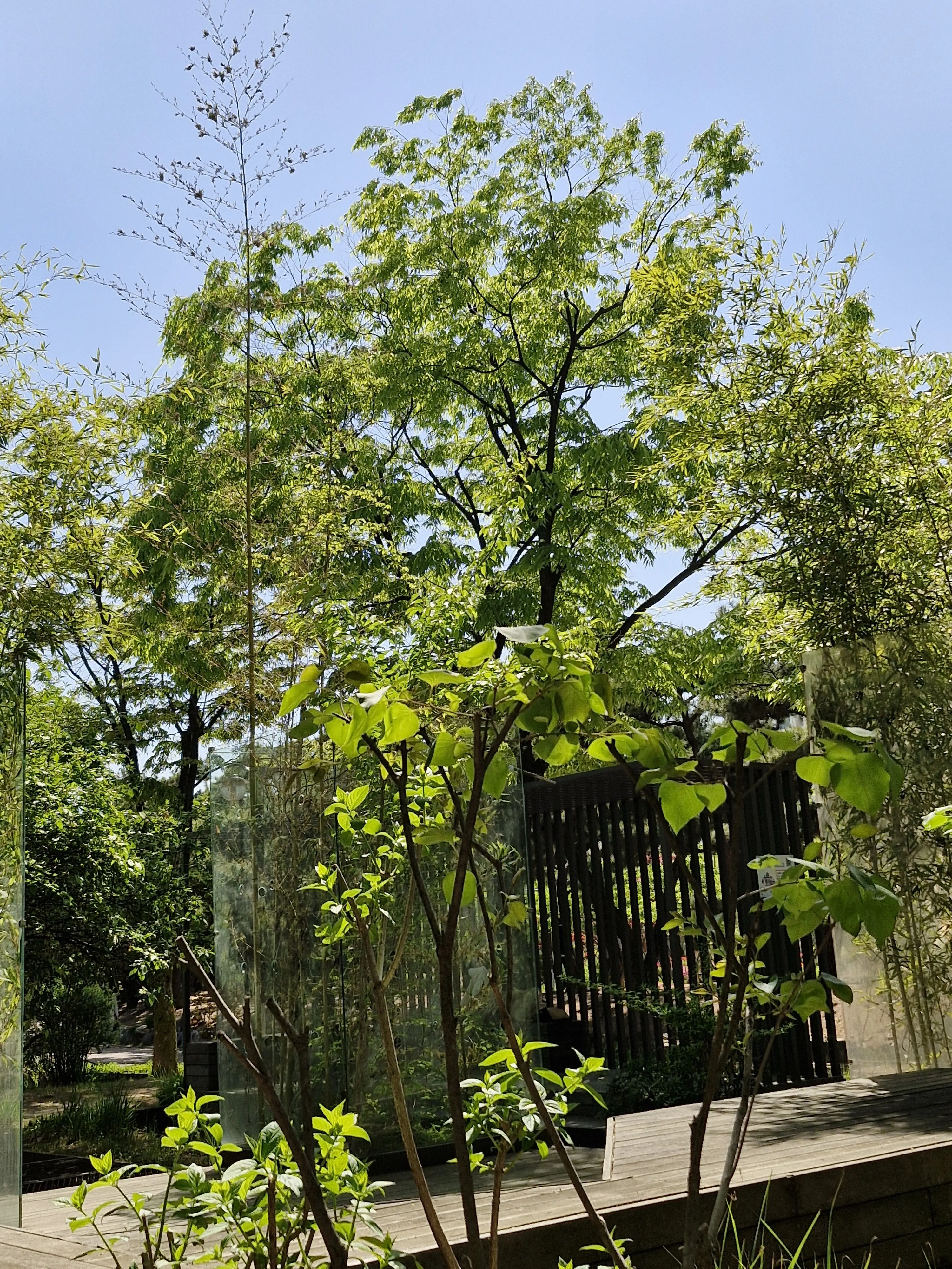 EarlyRiver2912의 狼の神様。
